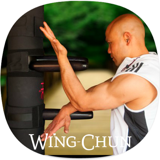 Guía del ala Chun