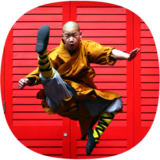 Guía de kung fu