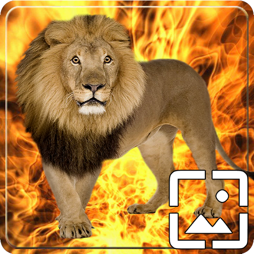 Lion Wallpapers Hd