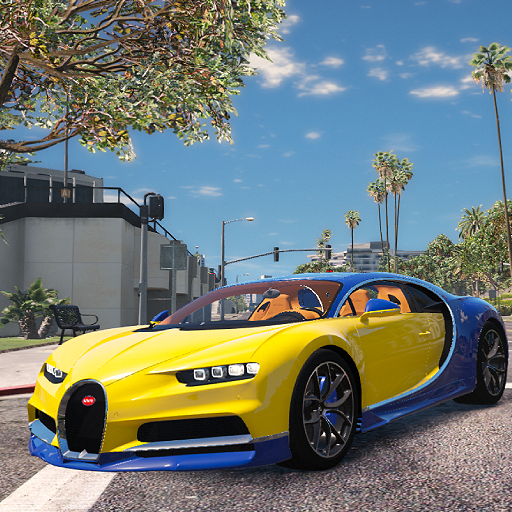 Chiron Car Bugatti Driver