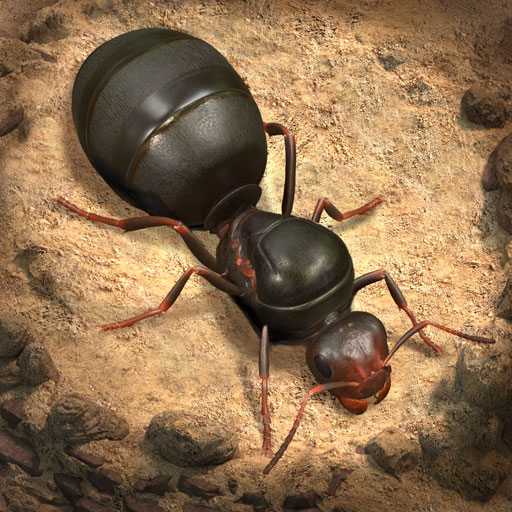 The Ants: Underground Kingdom