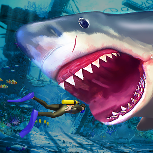 jeux de requins 2024