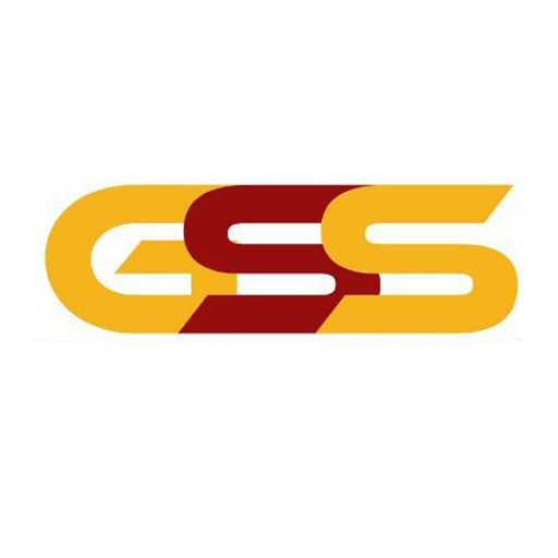 GSS Healthcare