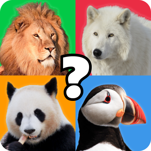 Animal Quiz Guess their Answer