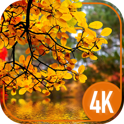 Deine Herbst-Hintergründe 4K