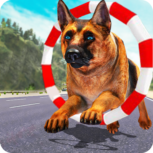 犬のトレーニング：犬のゲーム3D