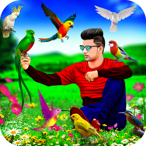 Bird Photo Editor