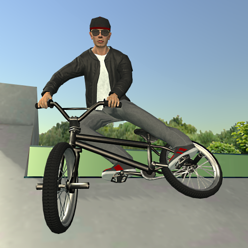 BMX FE3D 21.52