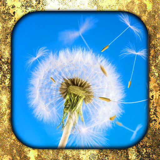 Dandelion लाइव वॉलपेपर