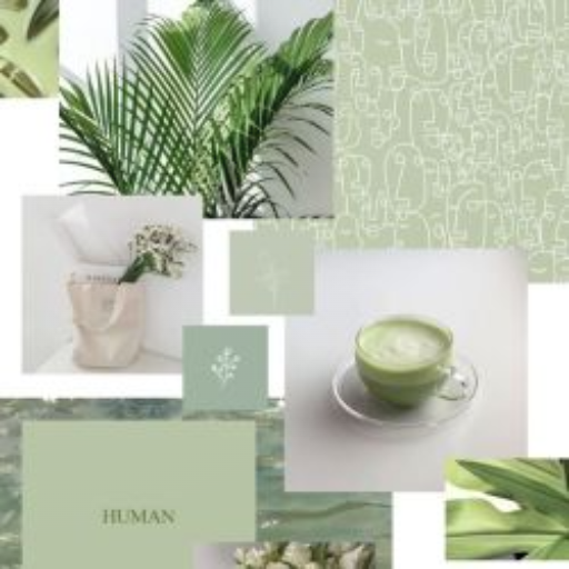 Sage Green Aesthetic Wallpaper