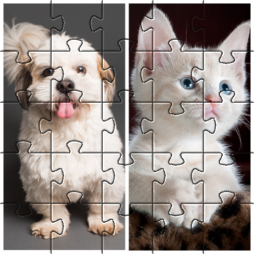 Puzzles de chiot chaton