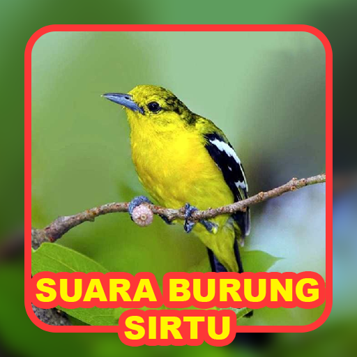 Suara Burung Sirtu