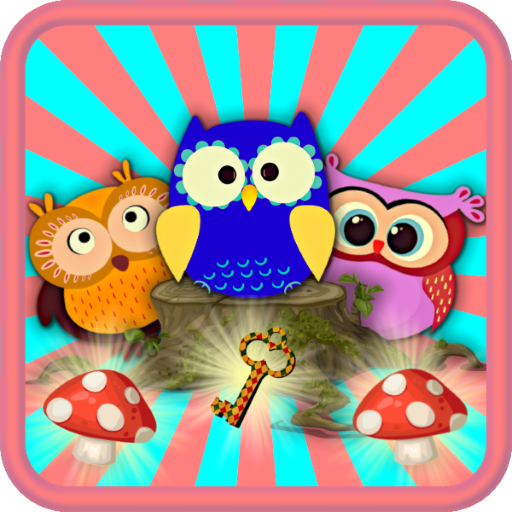 Crazy Owls