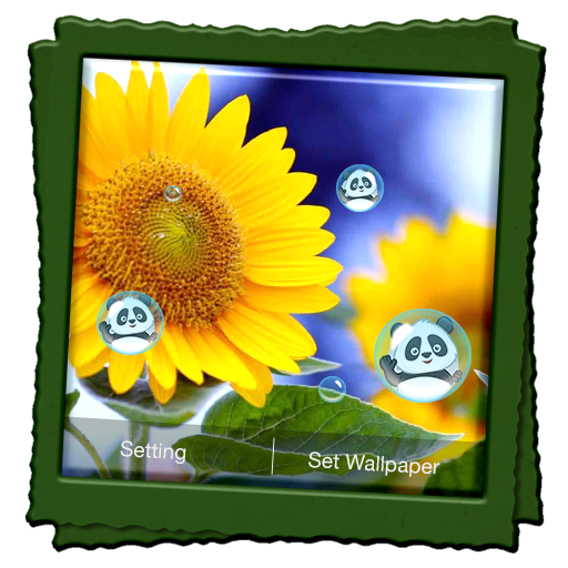 Sunflower Live Wallpaper