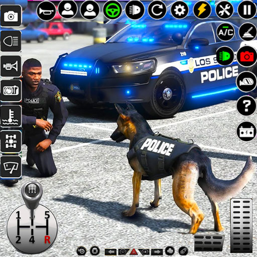 politie auto spel