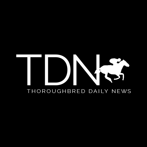TDN: Thoroughbred Daily News