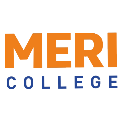 MERI GROUP OF INSTITUTIONS