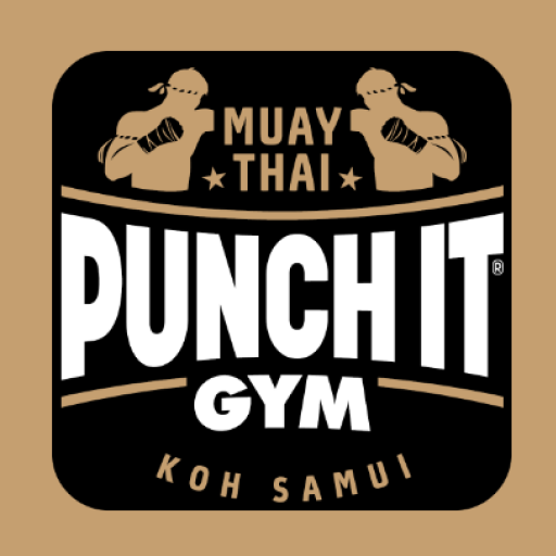 Punch it Gym