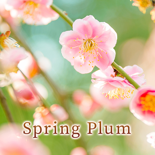 Spring Plum Tema