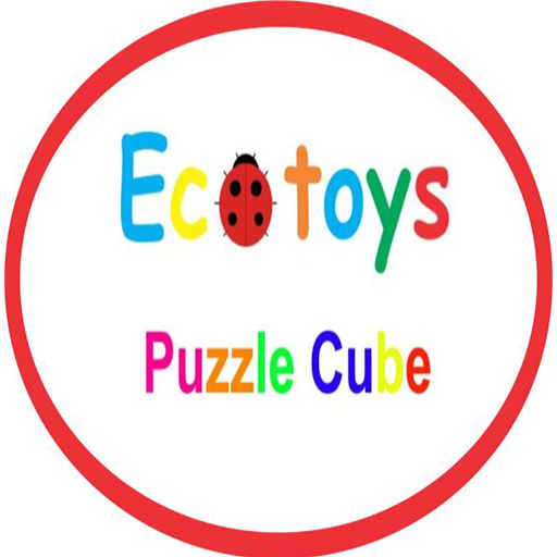 EcoToys Puzzle Cube