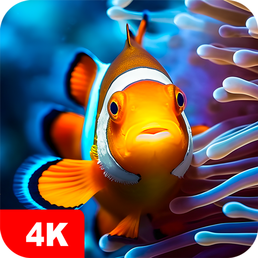 Hintergrundbilder mit Fisch 4K
