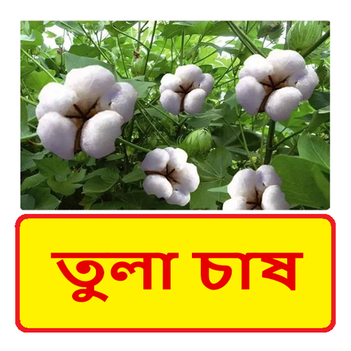 তুলা চাষ ~ cotton cultivation