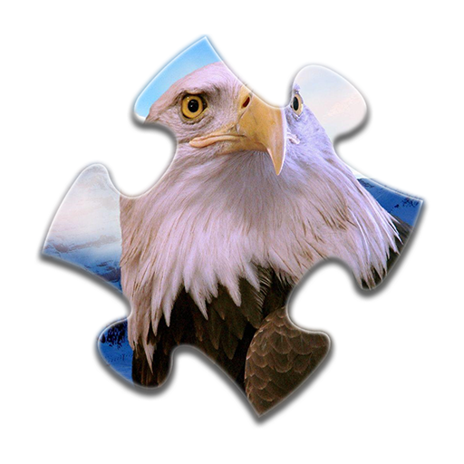 Birds Jigsaw Puzzles Game