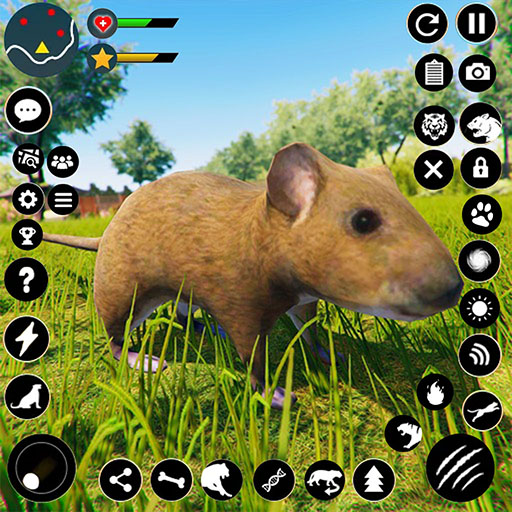 Forest House Mouse Sim 3D