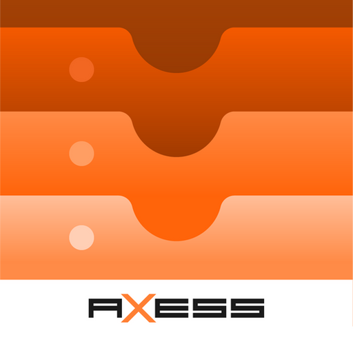 Axess SkiWallet