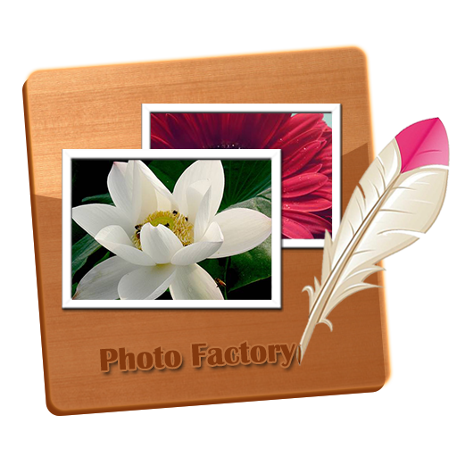 แกลอรี่ - Photo Editor