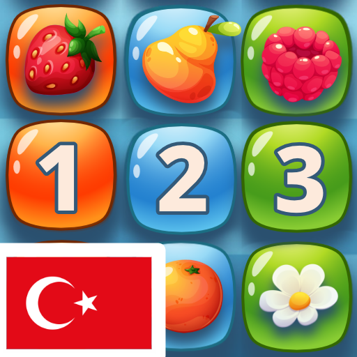 Numbers Puzzle - Sayılar