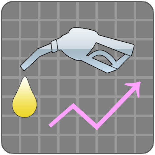 TC Fuel record di consumo