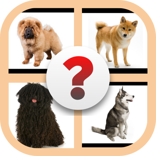 Quiz sur les races de chiens