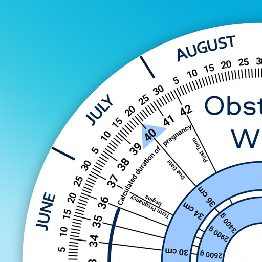 Calculadora Obstétrica