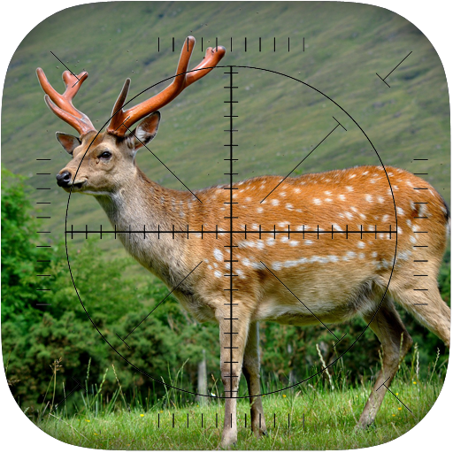 Deer Sniper: Hunting Game