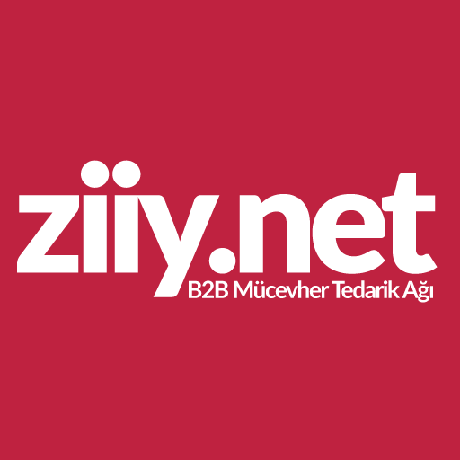 Ziiy.Net