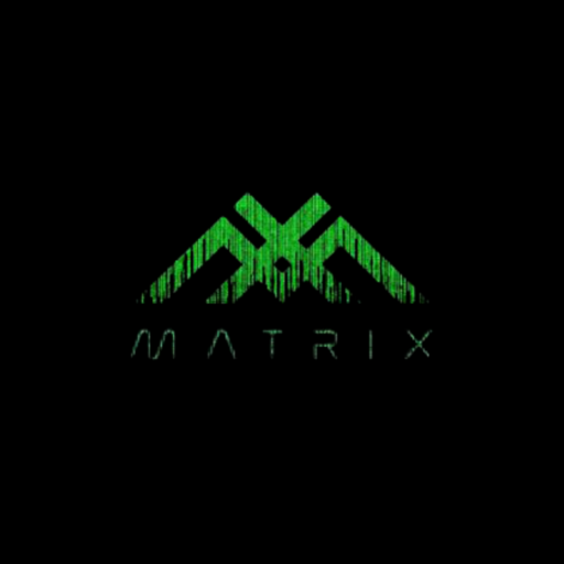 Matrix Metaverse