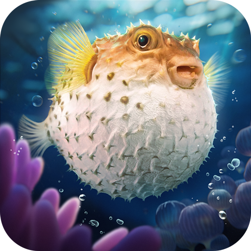 Top Fish: Ocean Game