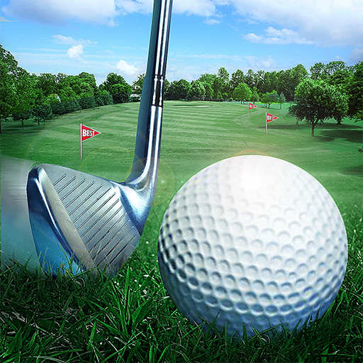 Golf Master 3D1.49.0