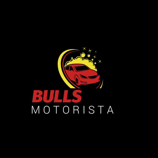 Bulls Driver - Motorista