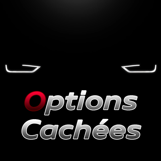 Options Cachées - VAG Coding