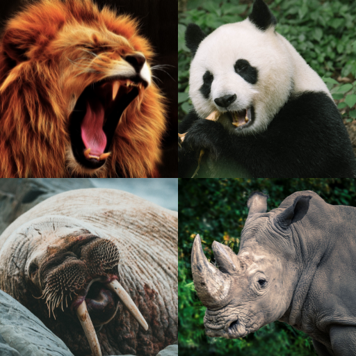 Guess the Animal - Animal Game